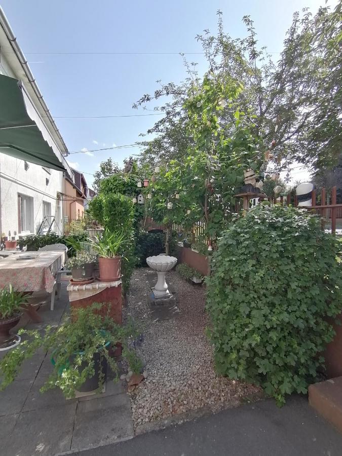 Ildiko Vendeghaz Heviz Appartement Buitenkant foto