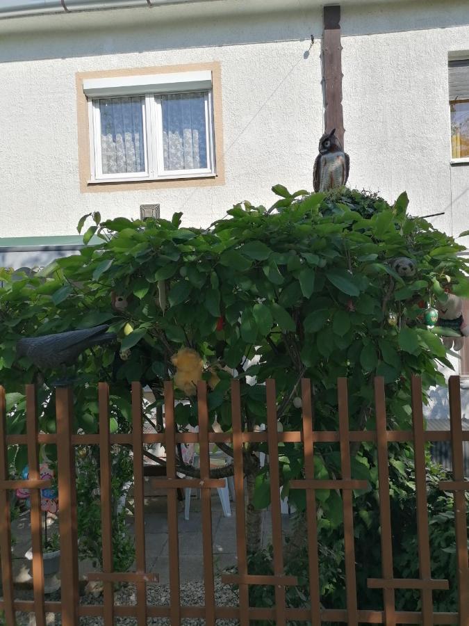 Ildiko Vendeghaz Heviz Appartement Buitenkant foto
